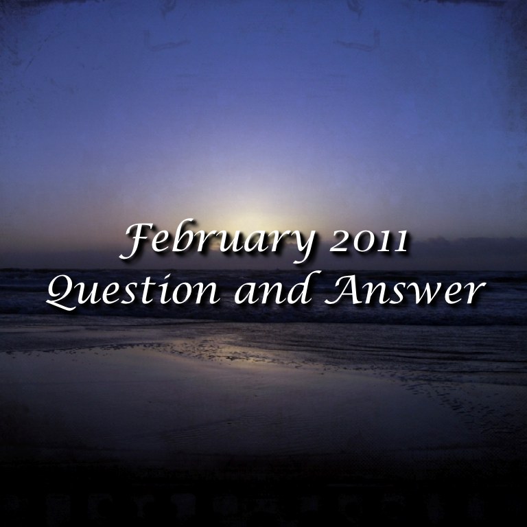 February 2011 Q&A