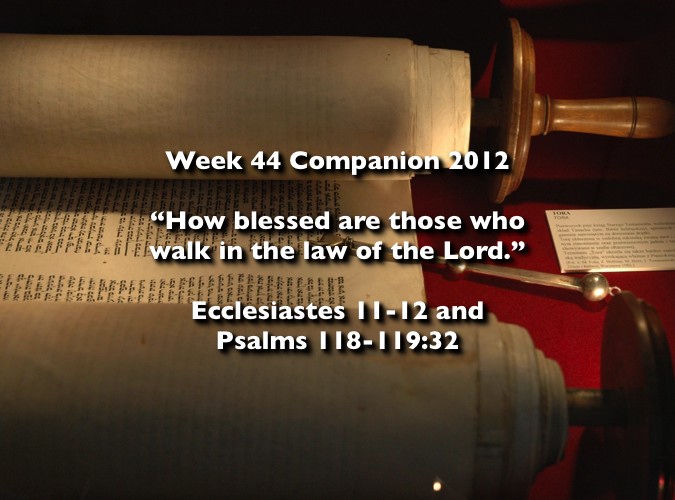 Week 44 Companion 2012