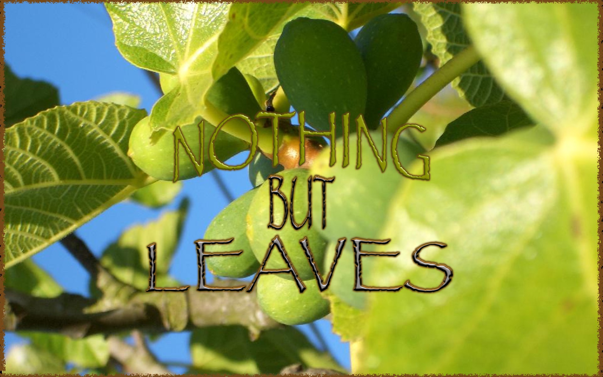 Nothing But Leaves - Mauriceville Church