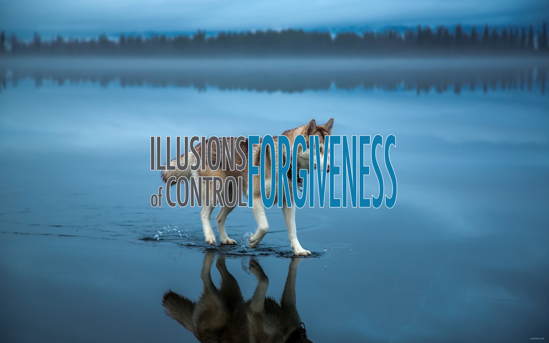 Illusions of Control – Forgiveness