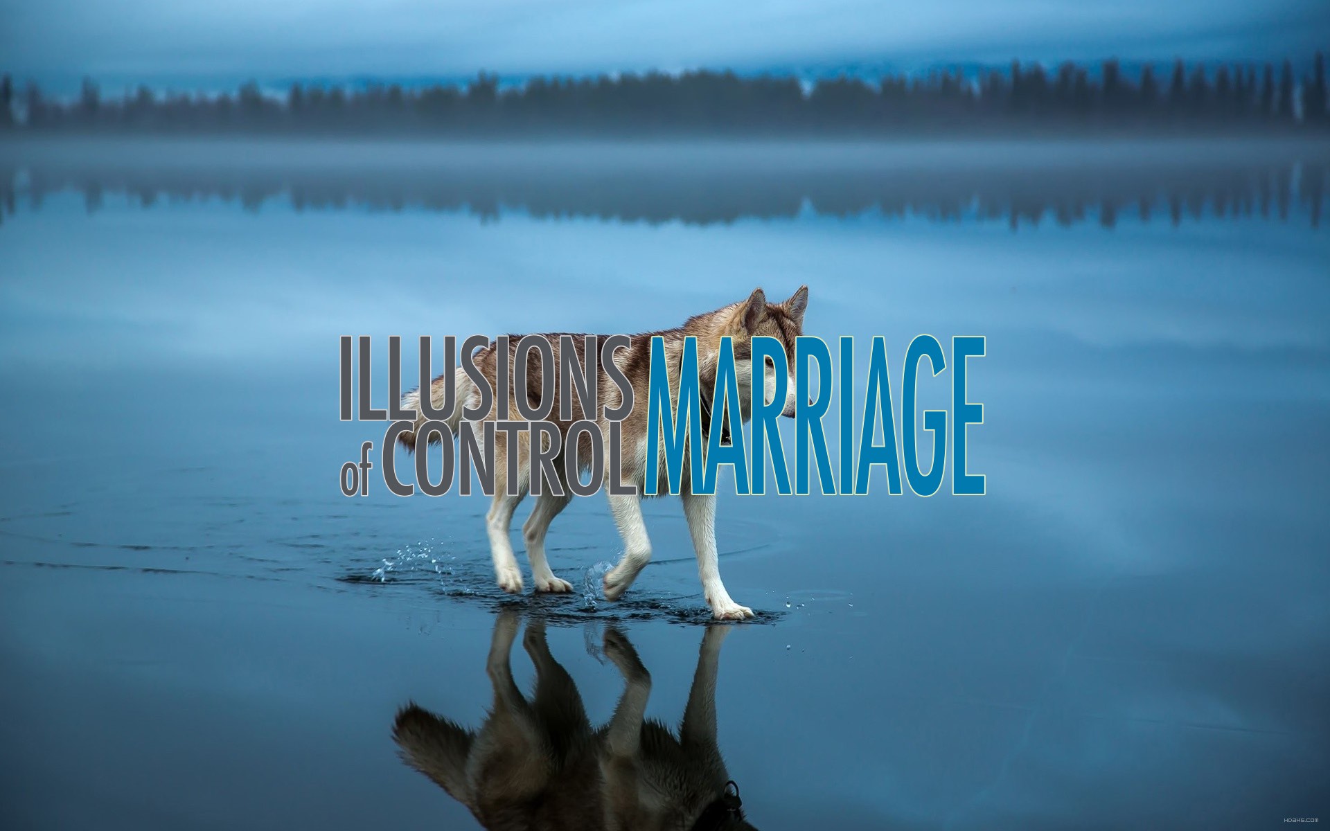 Illusions of Control – Marriage