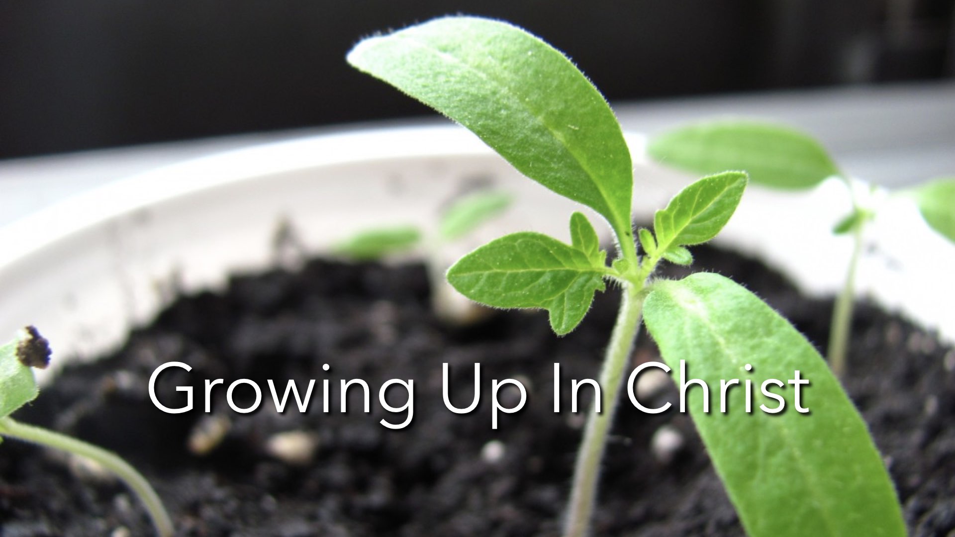 Growing Up In Christ