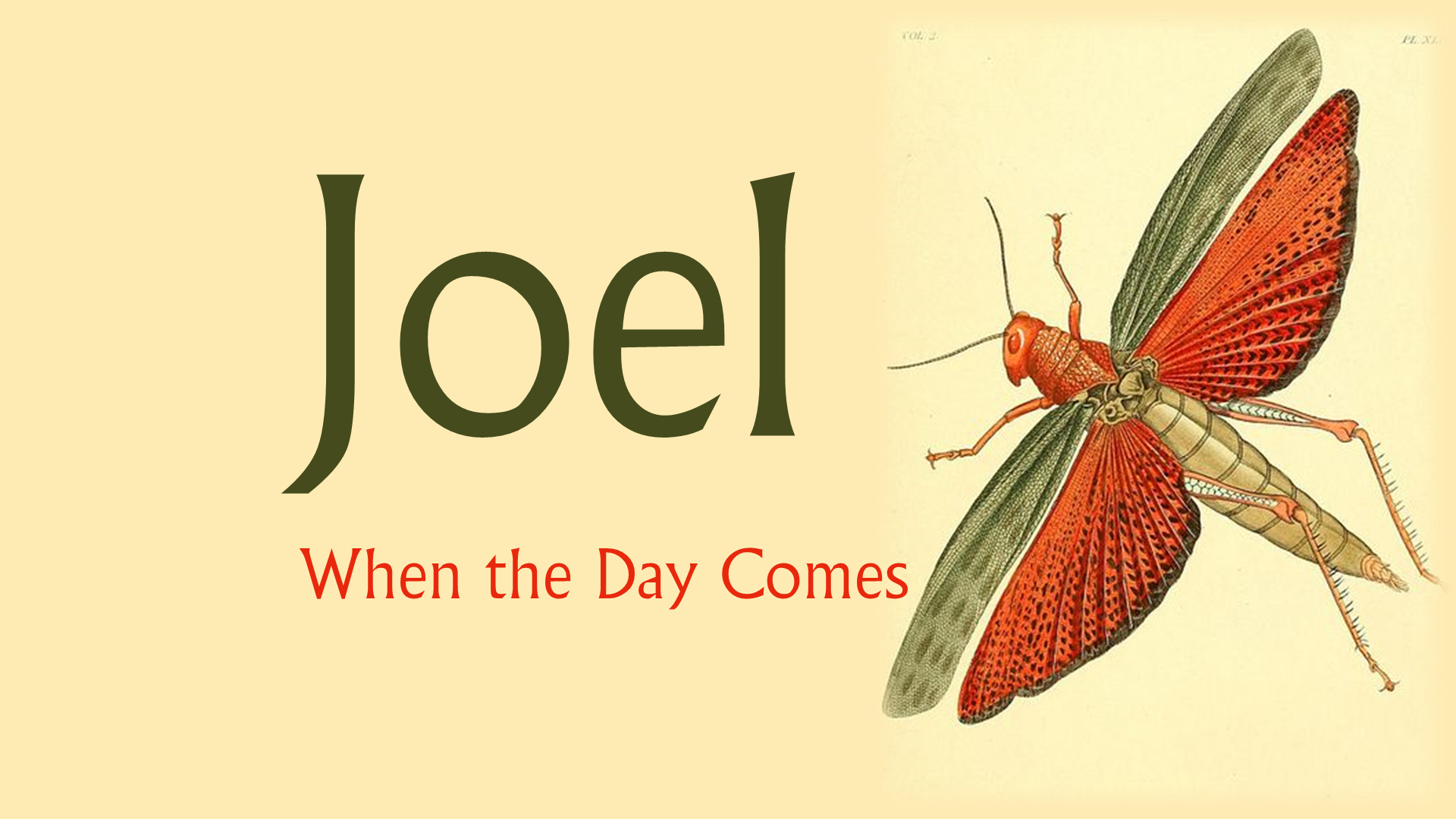 Joel – When the Day Comes