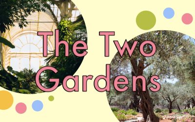 Two Gardens