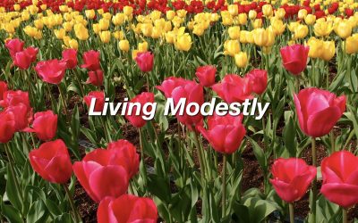 Living Modestly
