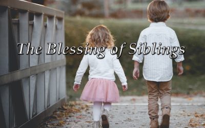 The Blessing of Siblings