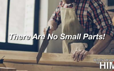 Wholly Devoted to Him: There Are No Small Parts!