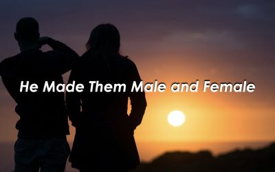 He Made Them Male and Female